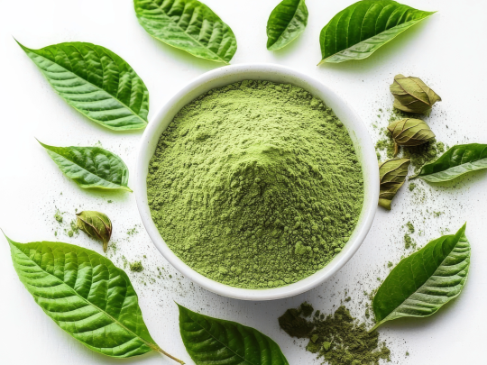 Kratom, nové nebezpečí na školách?